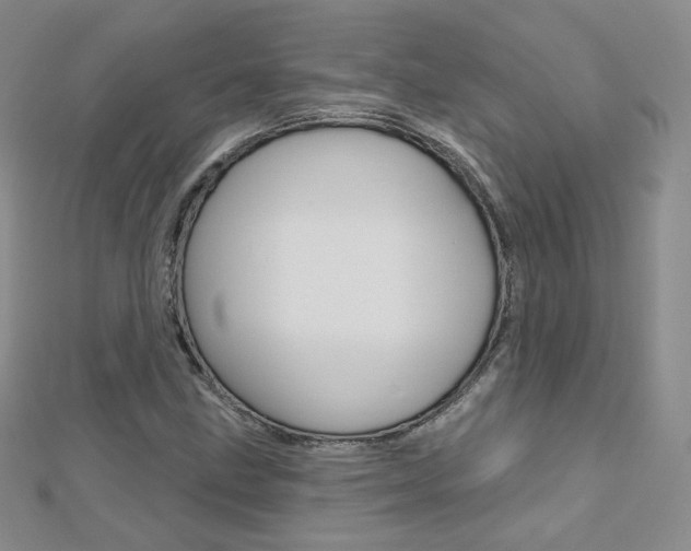 X0000112481211200908171005