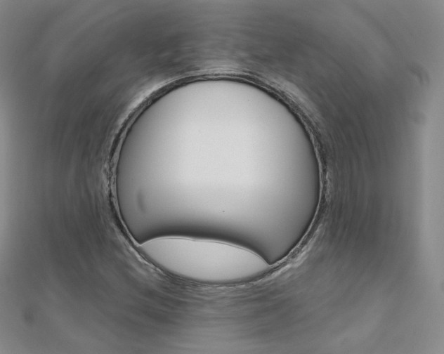 X0000112481212200908171005