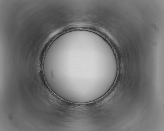 X0000112481213200908171005