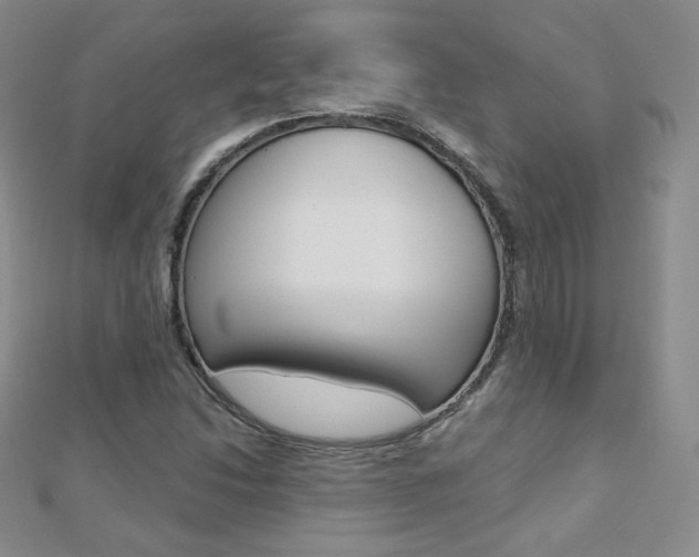 X0000112481214200908171005