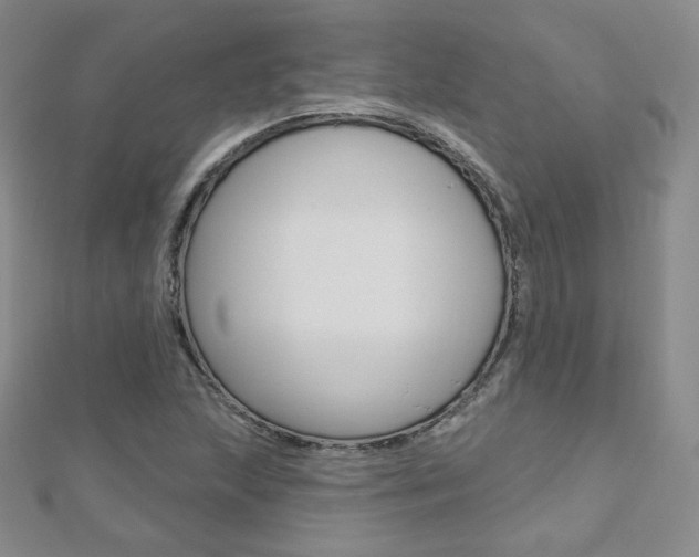 X0000112481215200908171005