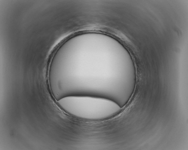 X0000112481216200908171005