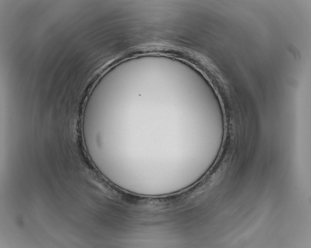 X0000112481217200908171005