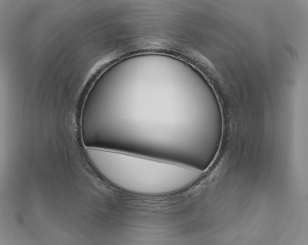 X0000112481218200908171005