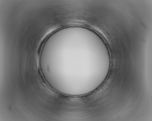 X0000112481219200908171005