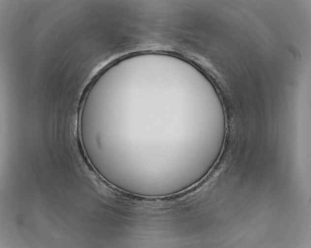 X0000112481220200908171005