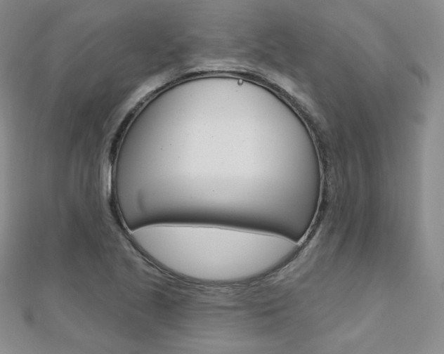 X0000112481221200908171005