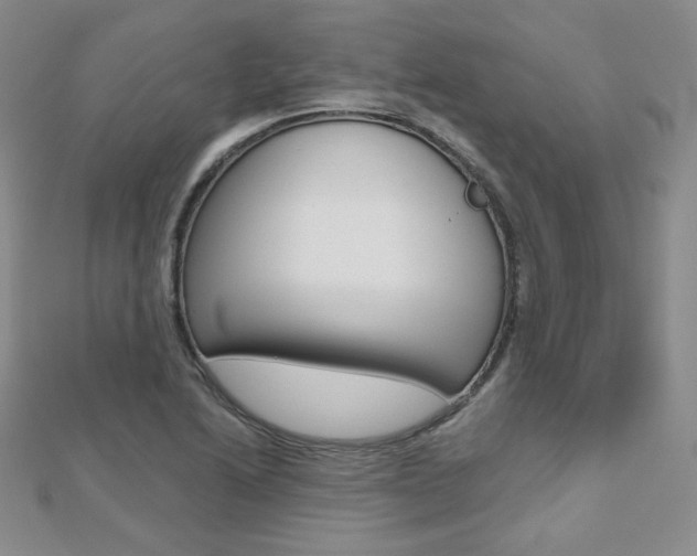 X0000112481222200908171005
