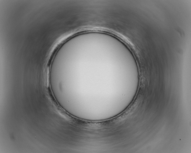 X0000112481223200908171005