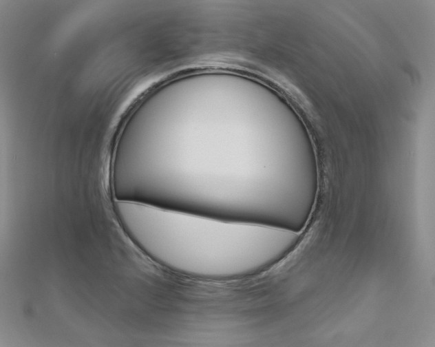 X0000112481224200908171005