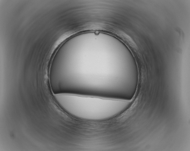 X0000112481226200908171005