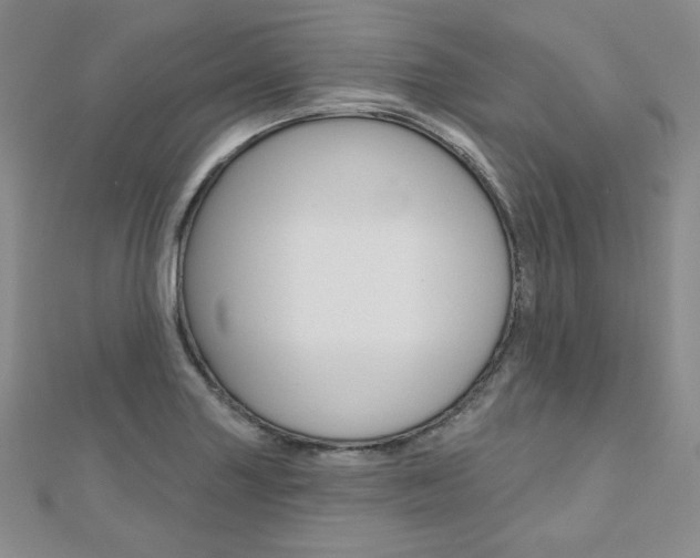 X0000112481227200908171005