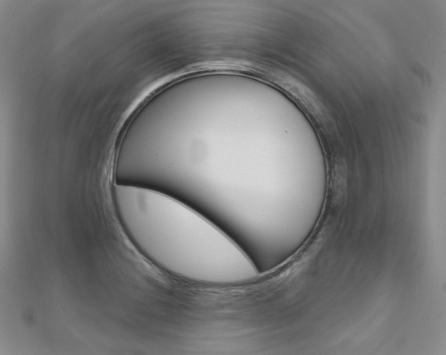 X0000112481228200908171005