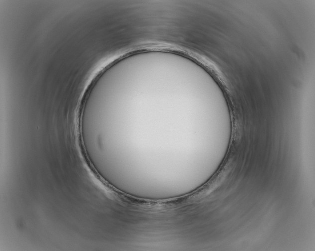 X0000112481231200908171005