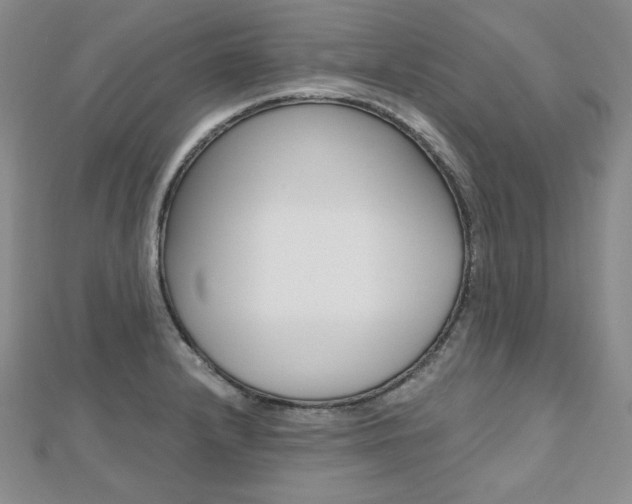 X0000112481232200908171005