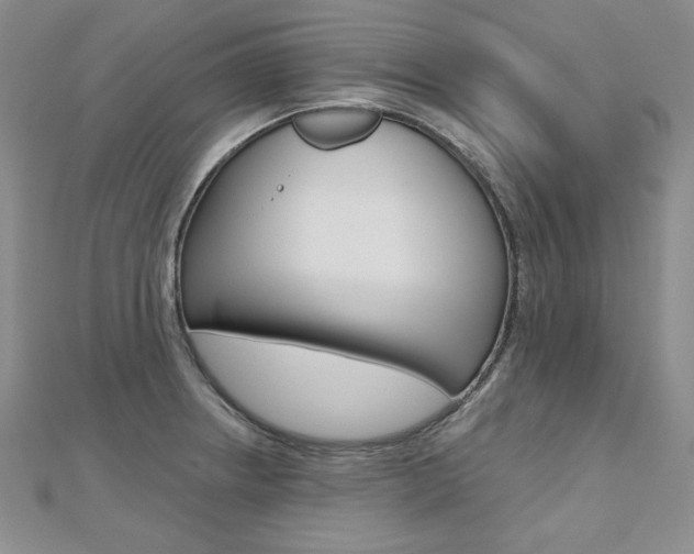 X0000112481234200908171005