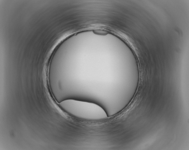 X0000112481235200908171005