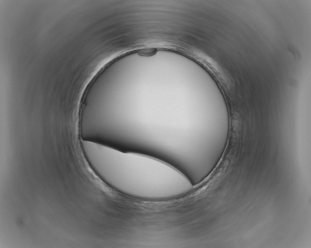X0000112481236200908171005