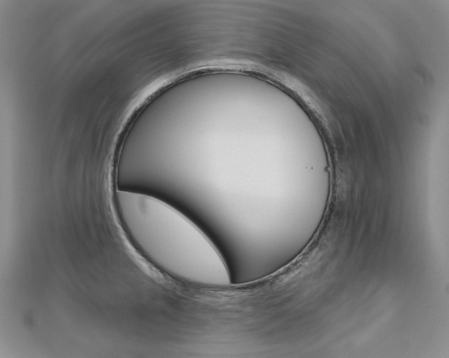 X0000112481237200908171005