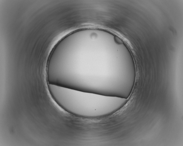 X0000112481239200908171005