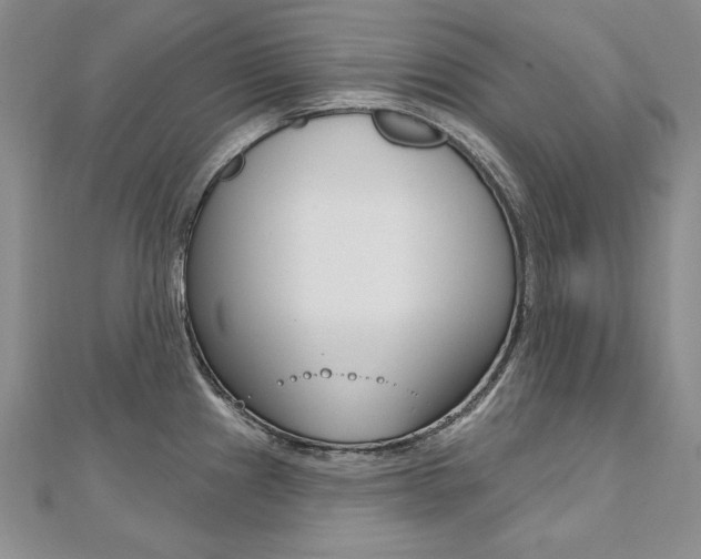 X0000112481241200908171005