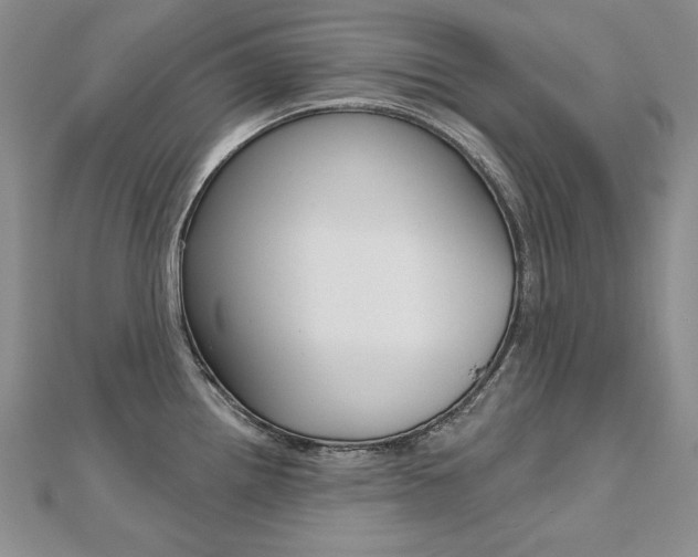 X0000112481242200908171005