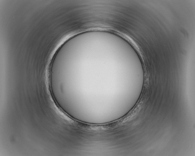 X0000112481243200908171005