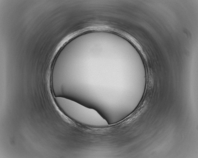 X0000112481245200908171005