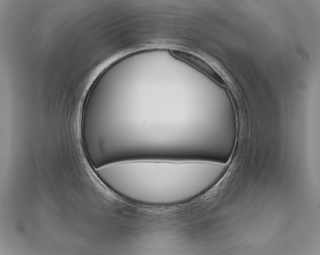 X0000112481246200908171005