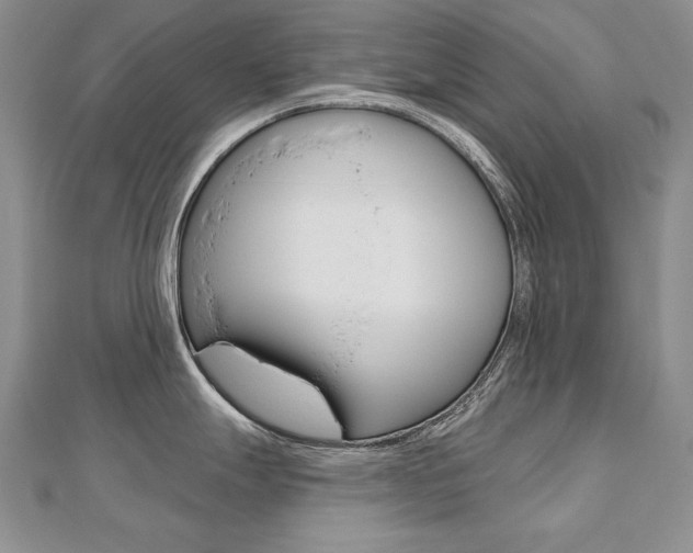 X0000112481247200908171005