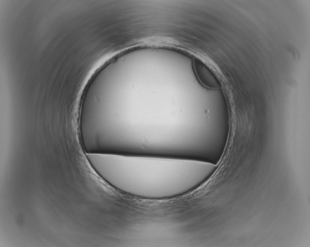 X0000112481248200908171005
