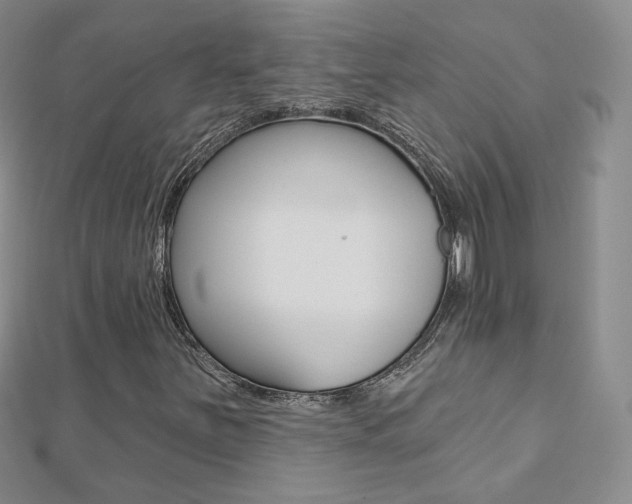 X0000112481251200908171005