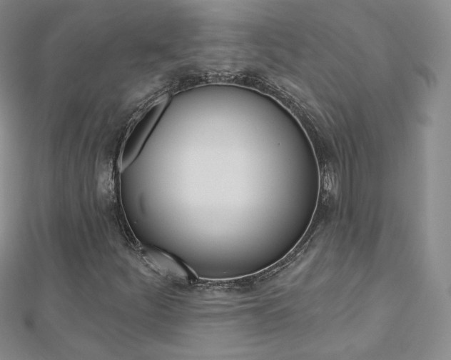 X0000112481252200908171004