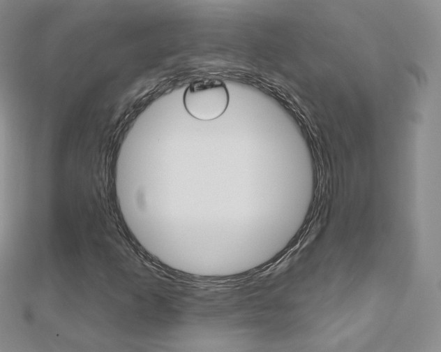 X0000112481253200908171004