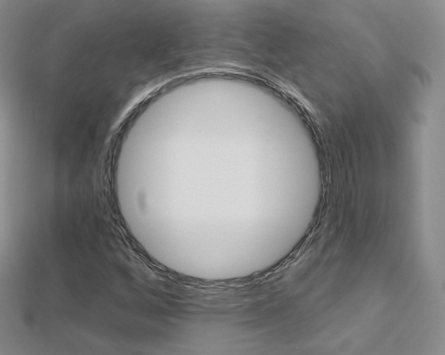 X0000112481256200908171004