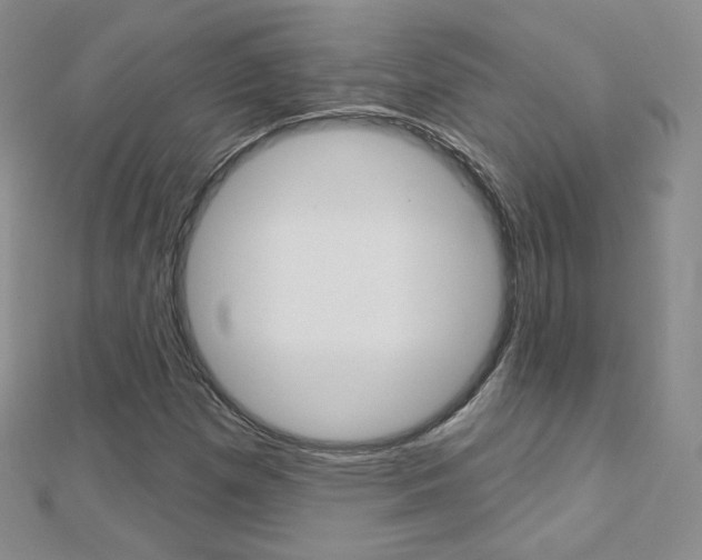 X0000112481257200908171004