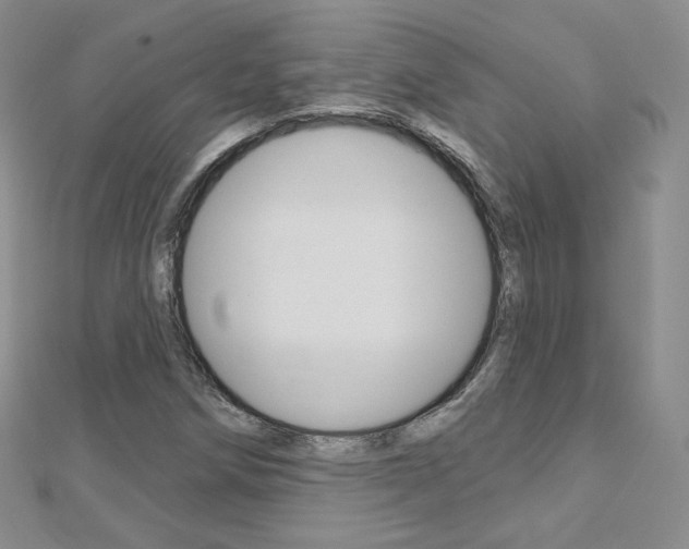 X0000112481258200908171004