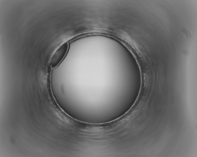 X0000112481260200908171004