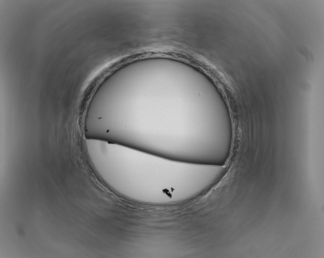 X0000112481262200908171004