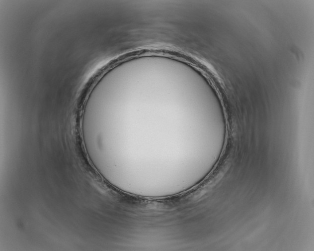 X0000112481263200908171004