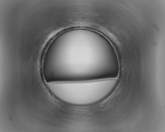 X0000112481264200908171004