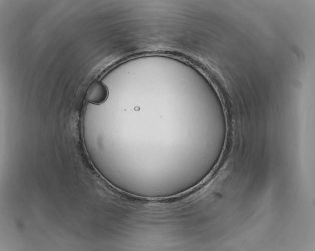 X0000112481265200908171004