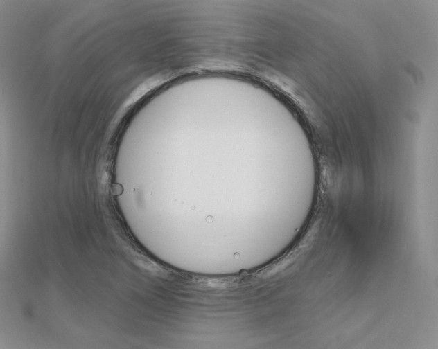 X0000112481266200908171004
