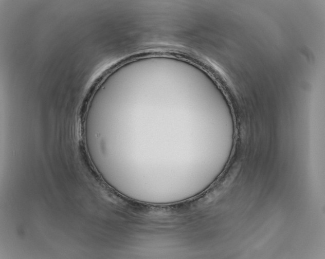 X0000112481267200908171004