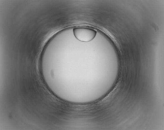 X0000112481269200908171004