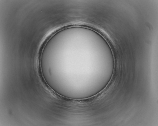 X0000112481270200908171004