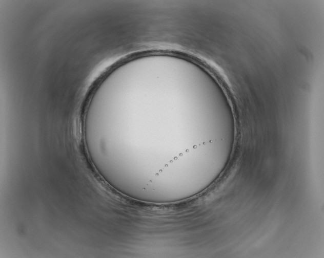 X0000112481271200908171004