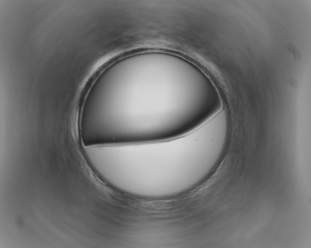 X0000112481272200908171004