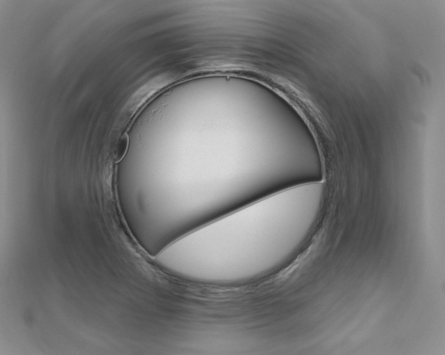 X0000112481273200908171004