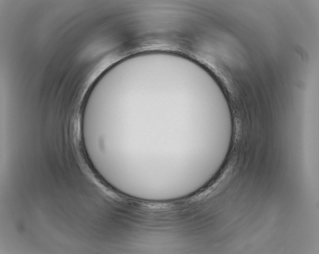 X0000112481274200908171004